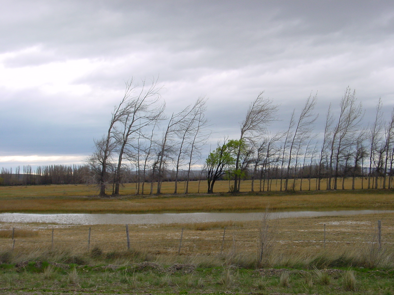 Spaziergang bei Sarmiento, ARG