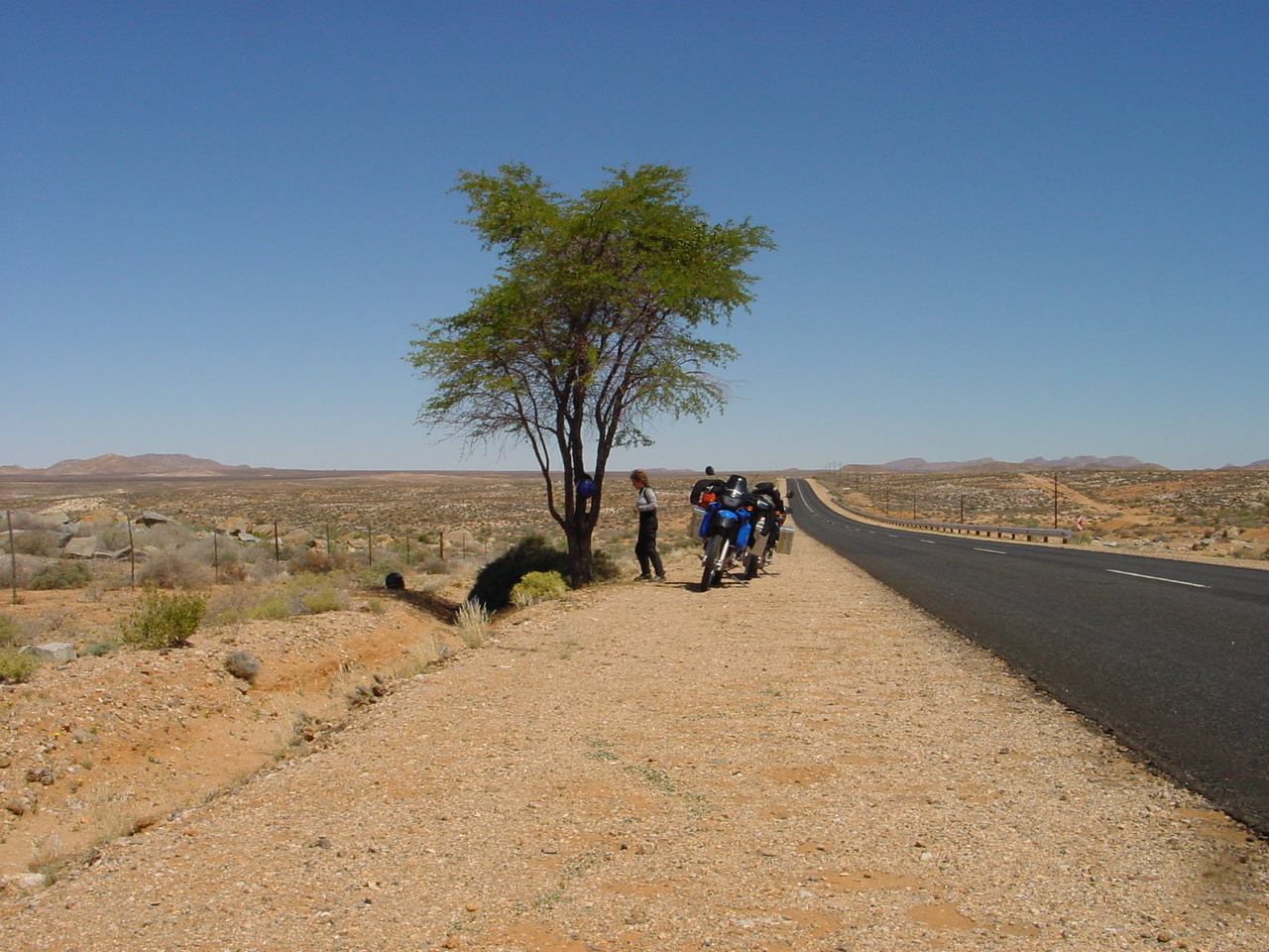 Schattenplatz: Kostbar da rar, ZA